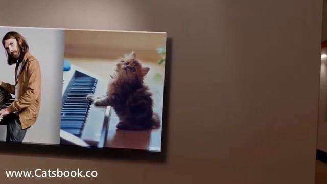 Кошки vs Male Models Gallery смотреть онлайн