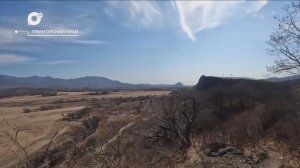 Разведка блогом / Дарданеллы и орёл / 15.04.25