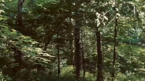 Военно-патриотический спортивный лагерь Вымпел-Шторм
