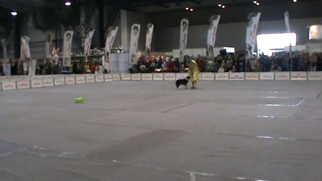 Начальная школа Кулешова смотреть онлайн