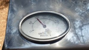 Крылышки горячего копчения.