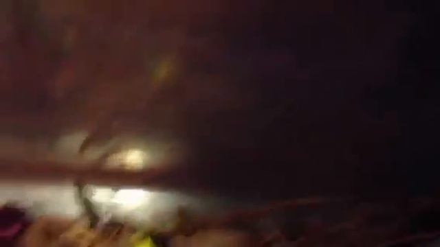 Red Velvet Ant vocalizing смотреть онлайн