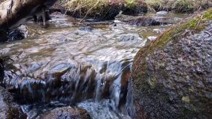 Прозрачный ручеёк