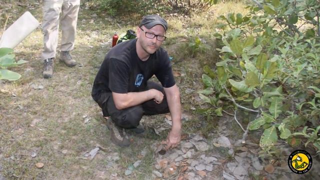 Tarantula eating in Cambodia смотреть онлайн