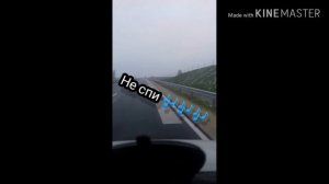 Музыкальная|||дорога Music road/