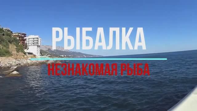 Крым. П. Форос. Рыбалка с пирса. Незнакомая рыба
