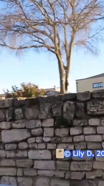 Aix tour du rempart tourreluco смотреть онлайн