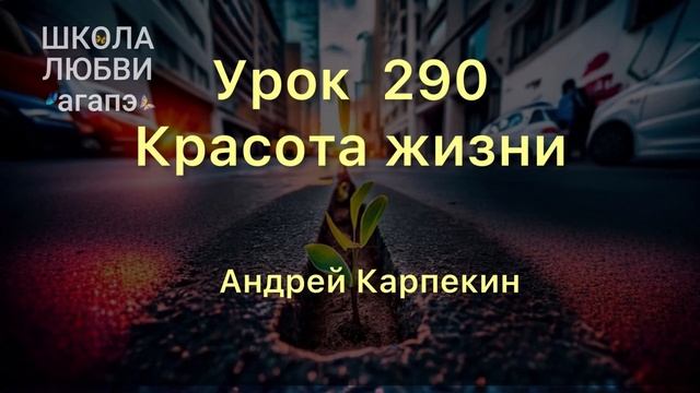 290. Красота жизни. Школа Любви Агапэ.
