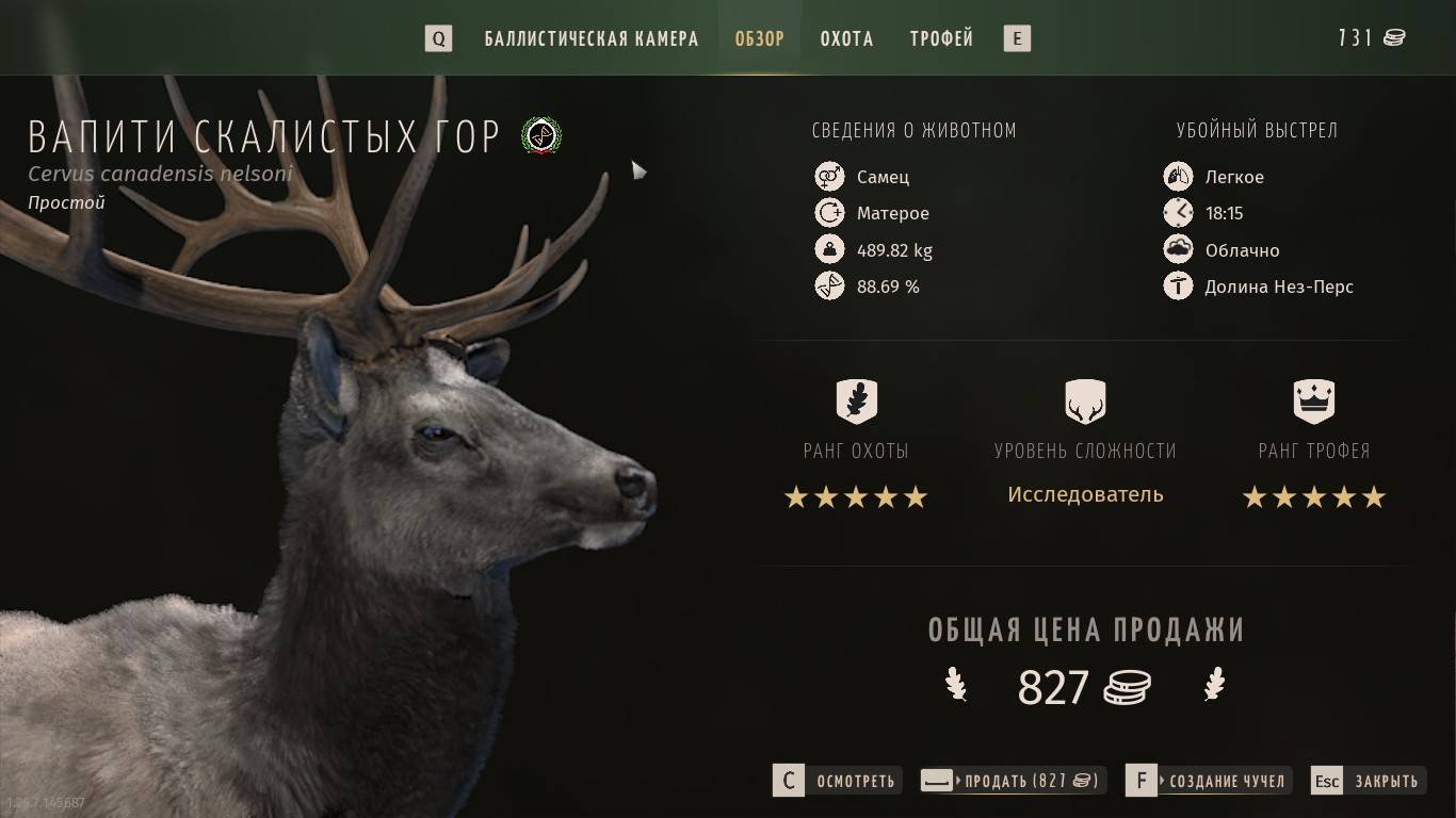 Way of the Hunter