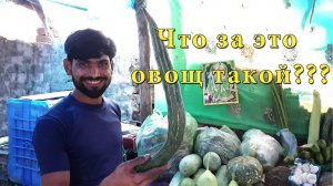 Индийские улицы! Грязные улицы в Дели | Что за это овощ? Необычные Овощи в Индии | Вкусная Индия