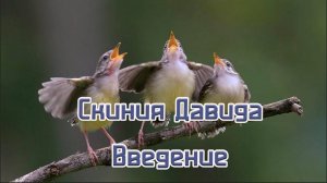 Скиния Давида. Введение.