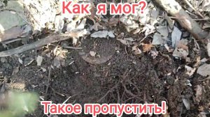 Сдесь я не впервые!Но ка я мог такие находки пропустить???