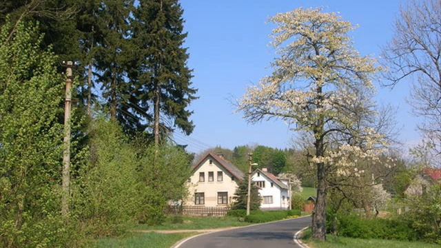 Алексей Соколов-Корс - "Эпилог" смотреть онлайн