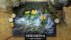 Как нарисовать Первоцветы сухой пастелью 🎨 Шешина Екатерина