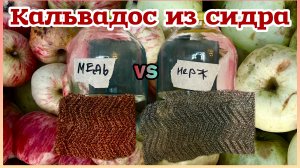 Кальвадос домашний из зрелого сидра. РПН медная против РПН из нержавейки.