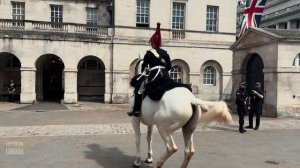 HORSE BITES DOWN ON WOMAN’S HAND! | Horse Guards, Royal guard, Kings Guard, Horse, London, 2024