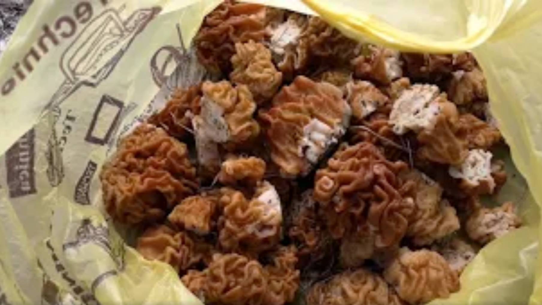 Прогулка за сморчками(Строчками)