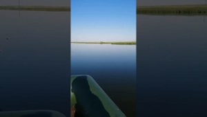 Тест лодочного мотора стрела 5м