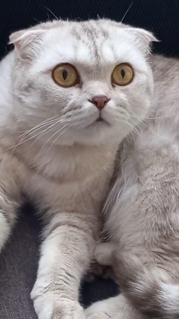 Тошнит и тянет на солёненькое