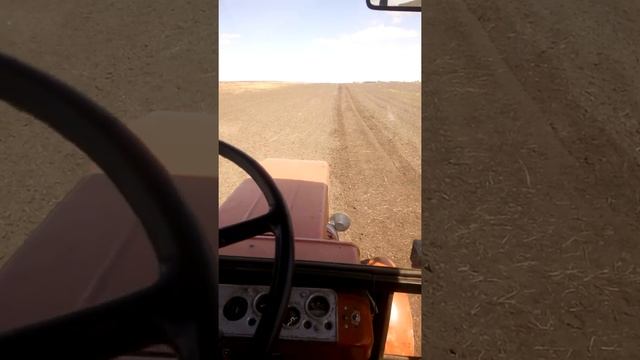 Фрезеруєм під буряк 2020 трактором т-25