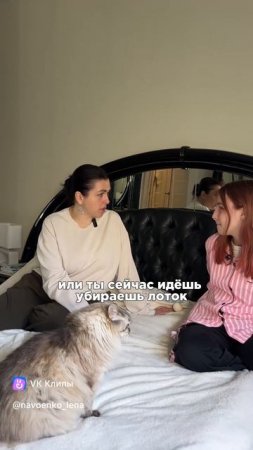 Это просто просьба