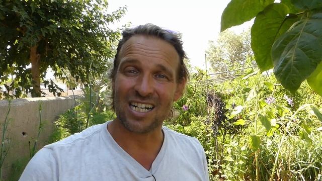 Como hacer TOMATE SECO | EL TOMATE MAS CARO DEL MUNDO смотреть онлайн