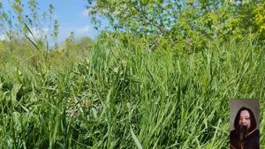 Когда нотариус прочитал завещание, все родственники онемели от злости...