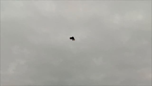 6 февраля 2024 г. смотреть онлайн