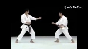 Top 10 Best  Karate Masters