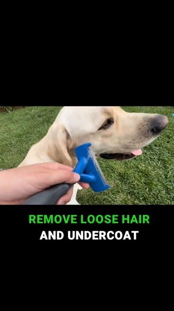 Ultimate FURminator Deshedding Tool Review: Say Goodbye to Dog Shedding! смотреть онлайн