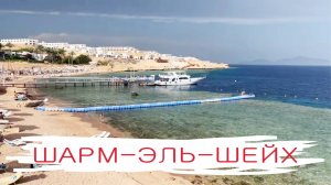 Шарм-Эль-Шейх: обзор отеля Domina Coral Bay, поездка на рифы острова Тиран и отличные пляжи в бухте.