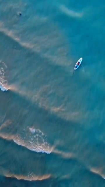 Paddle Board Adventure #lakehuron #shorts #beachlife смотреть онлайн
