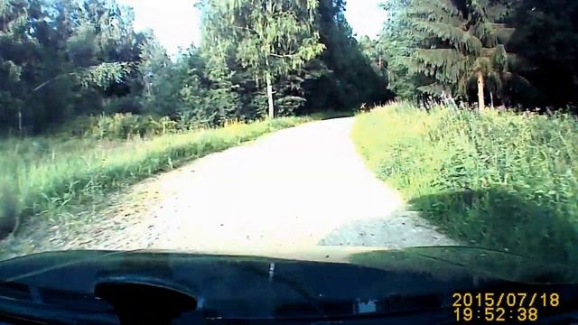 Лось смотреть онлайн