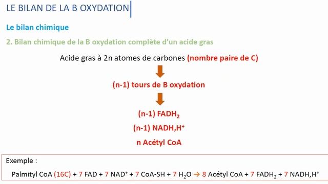 Béta oxydation 2021 смотреть онлайн