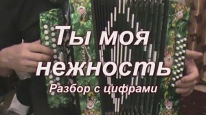 Ты моя нежность. (033 гармонь с цифрами)