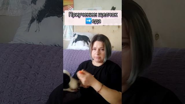 КЛИКЕР-СЕРИАЛS1e1. Что такое КЛИКЕР  и с чем его едят