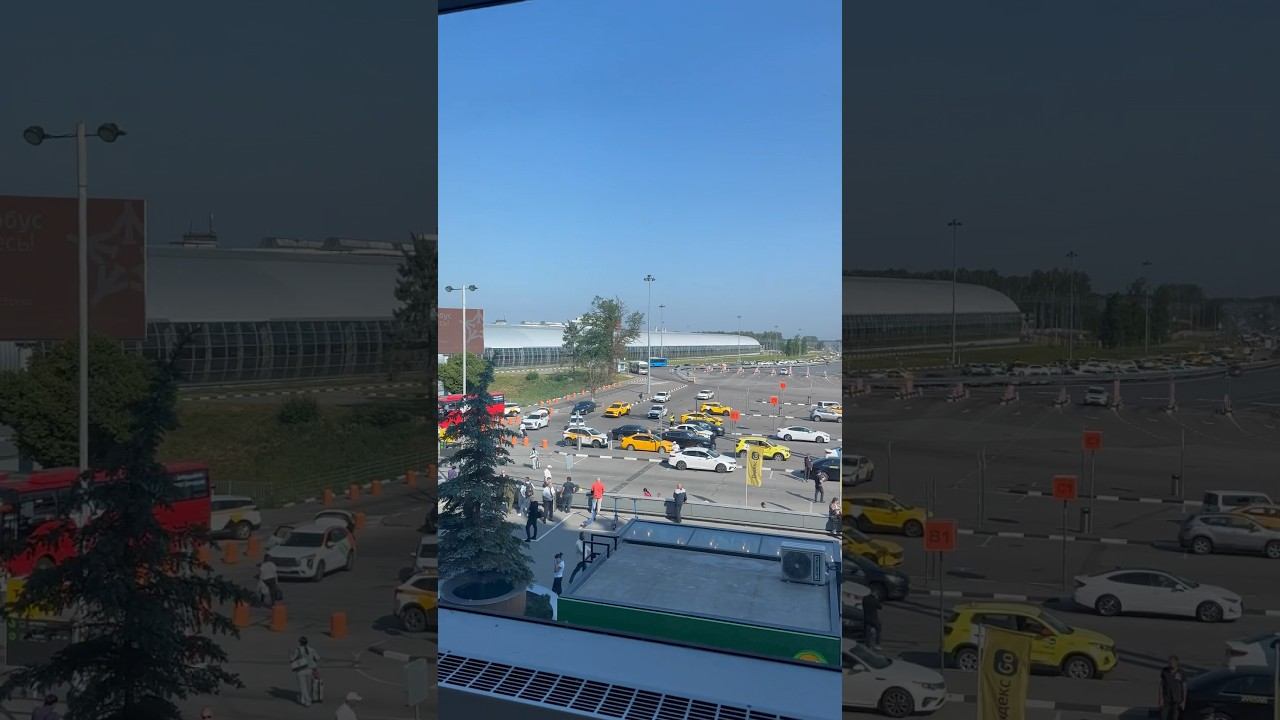 Типичное утро аншлаг в Домодедово
