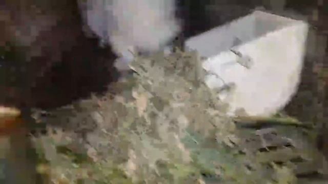 Харчування кроликів. Молоді кролики ПАНОН.. Самець каліфорнії.. Продаж смотреть онлайн