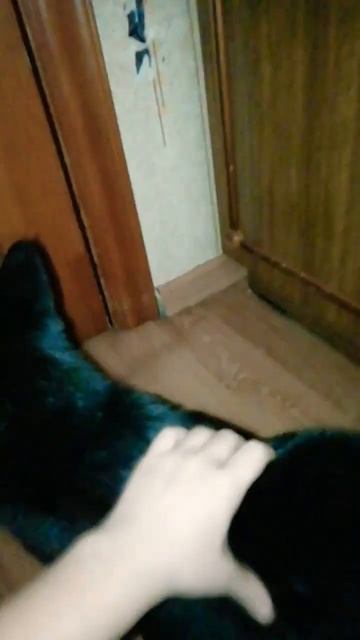 мама кошка жмяк жмяк смотреть онлайн