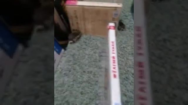 Лабиринт для хомячков смотреть онлайн