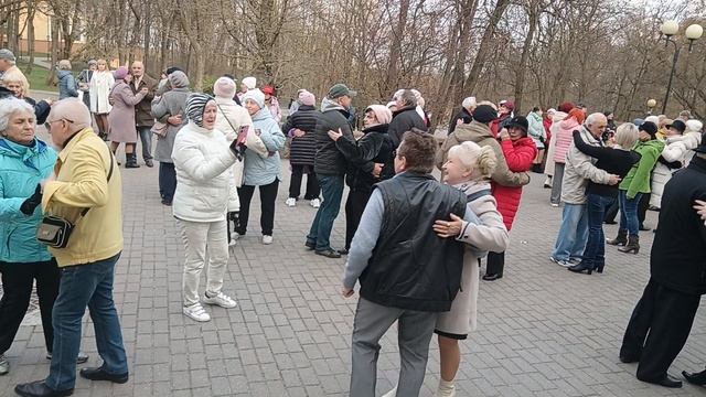 Цветы под снегом...... 12.04.25 Гомель парк Луначарского 🥰💫