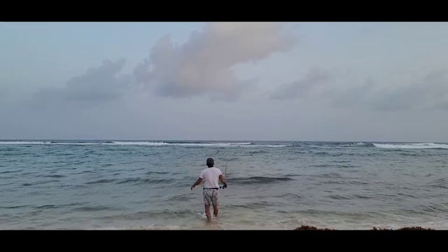 Cayman Islands Shoreline fishing Monday Catch 15"inches Mutton SNAPPER смотреть онлайн