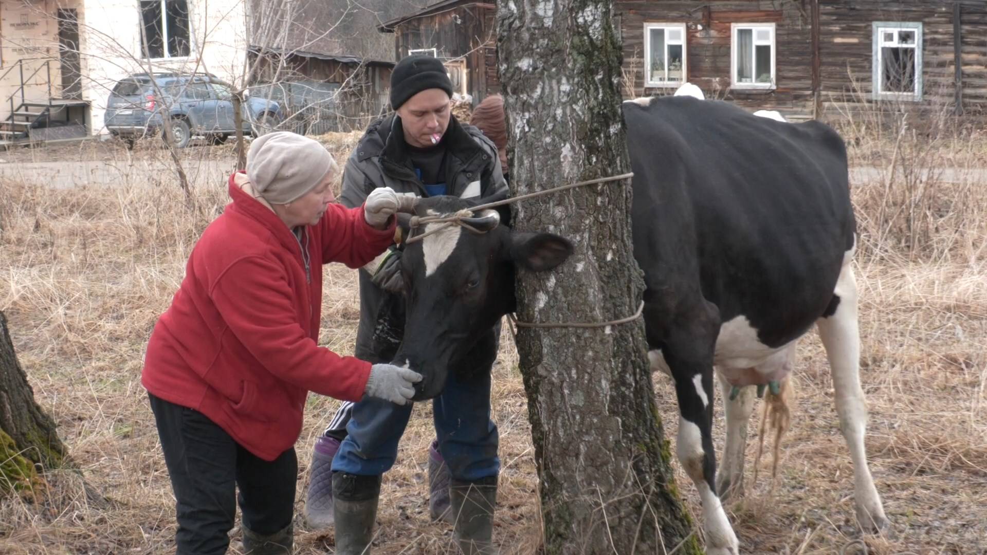 В округе стартовала вакцинация против бешенства смотреть онлайн