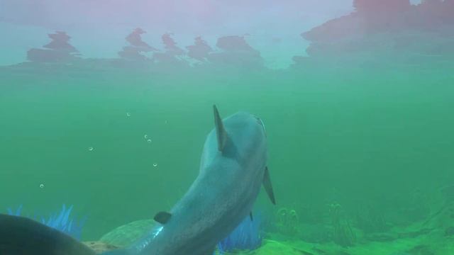 Feed And Grow Fish : Payara смотреть онлайн