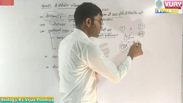 Biology XII आनुवंशिकी शब्दावलिया ll Genetic Terminology- Gene, Allele, Genotype & Phenotype in hind смотреть онлайн