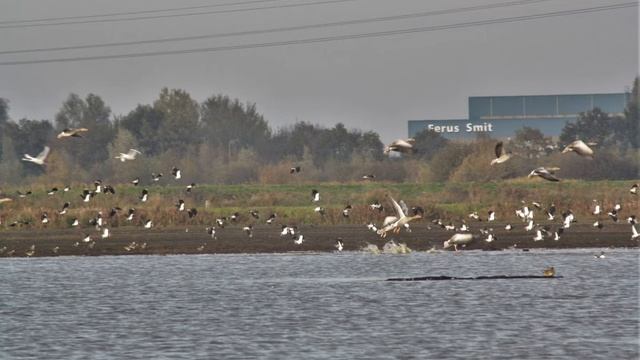 abaraham-JYC смотреть онлайн
