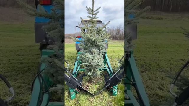 Пересадчик деревьев ПД-800 Леспромресурс - видео в работе