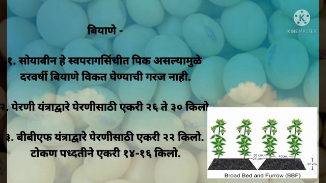 soyabean perni aani kid niyantran #soyabean #farming смотреть онлайн