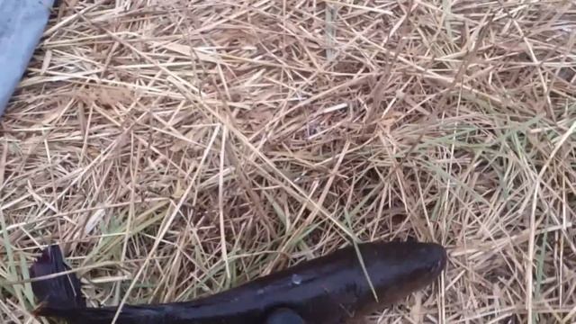 Притока Балхаша 2012.mp4 смотреть онлайн