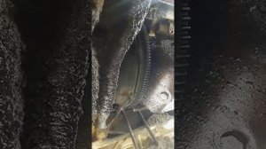 Как установлена зиловская коробка на газон